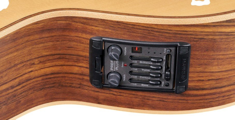 Alien, 4-String, Fretless - Natural Transparent Satin